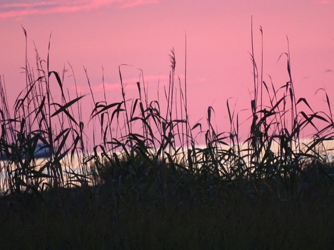 Grand Isle Sunrise